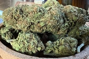 Medikal Cannabis Strain İncelemesi – AVAAY 28/1 KH / Karel's Haze