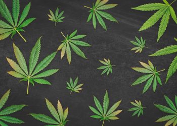 Rechtliche Voraussetzungen und Hindernisse des Imports von Cannabis zu Genusszwecken