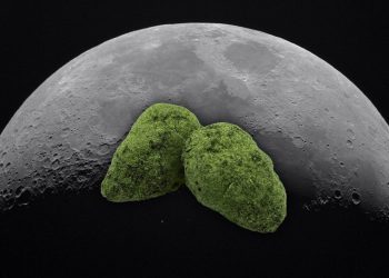 Moonrocks – High like the moon?