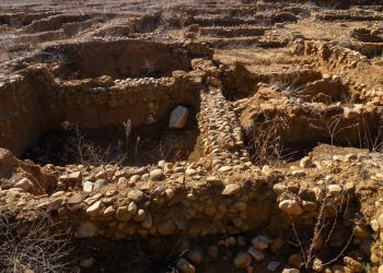 Stone & High – Archäologie belegt historischen Cannabiskonsum