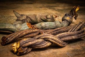 Ayahuasca - Ein Blick auf die traditionelle Pflanzenmedizin der Amazonas-Regenwälder