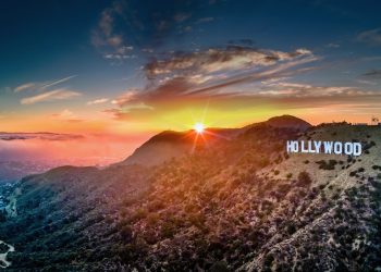 Cannabis und Hollywood
