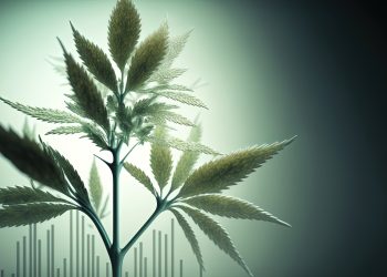 Welche Auswirkungen hätte die Entkriminalisierung von Cannabis auf die deutsche Wirtschaft?