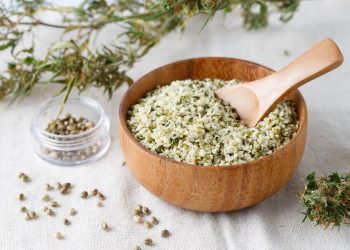 Hanf als Superfood – Ernährungsphysiologische Vorteile und Verwendung in der Küche