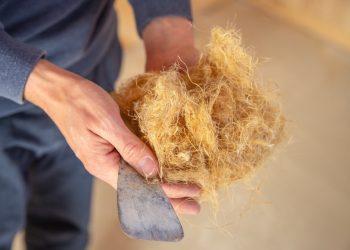 Hanf als nachhaltige Alternative zu herkömmlichen Dämmstoffen