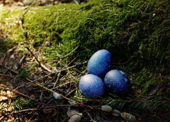 Hanf und Ostern in der Menschheitsgeschichte – Eine spannende Verbindung