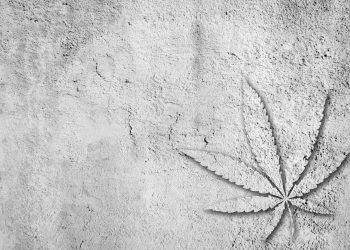 Hanfbeton – Eigenschaften und Anwendungen in der Bauindustrie