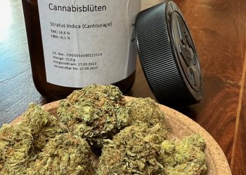 Medizinalcannabis Strain Review – Cantourage Stratus Indica