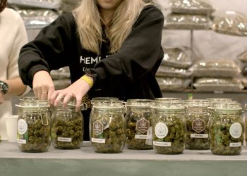 Medizinische Cannabiswirtschaft Europas – 550 Mill. Euro Umsatz