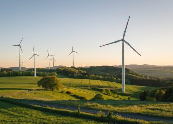 Revolution im Wind – Hanf als nachhaltiges Material für Windräder der Zukunft