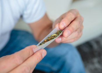 PKS 2022: Weiterhin hoher Verfolgungsdruck gegen Cannabiskonsumenten