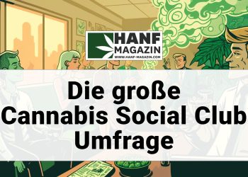 umfrage-csc-title-Kopie