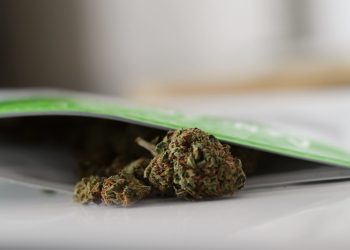 Die möglichen Regeln für Cannabis Social Clubs