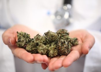 Cannabis verbessert Kognition bei HIV-Patienten