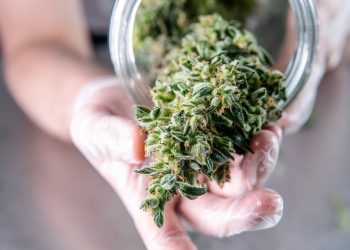 Cannamedical Pharma erweitert Extrakt-Portfolio