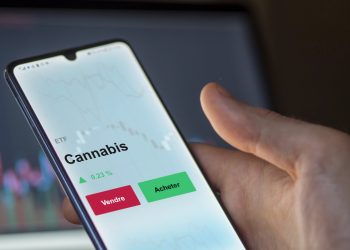Cannabis Aktien 2023: Chance oder Bärenmarkt?