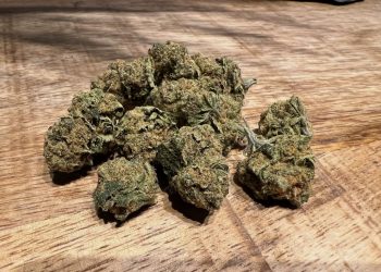 Medizinalcannabis Strain Review – Cannamedical Hybrid Forte PH: THC Bomb