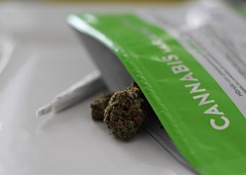 Neue Forschung über mögliche Psychosen bei Cannabis Abhängigkeit