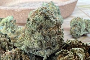 Medizinalcannabis Strain İncelemesi - Aleph Amber 22