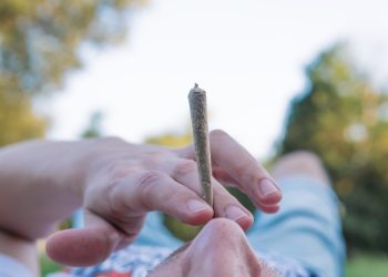 Cannabis in Europa mit Abstand das beliebteste illegale Genussmittel 