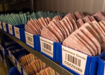 Das Beste aus der Natur – Zamnesia