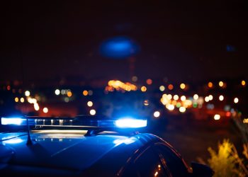 Von wegen legal! Razzien gegen spanische Cannabis Social Clubs