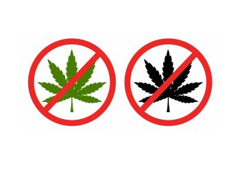 BVerfG Entscheidung – Verfassungsbeschwerden gegen Cannabisverbot unzulässig