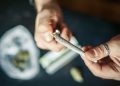 Schweiz: Cannabis für Eigenbedarf darf nicht länger konfisziert werden