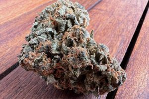 Tıbbi Cannabis Strain İncelemesi: Cannamedical Hybrid Classic NM – Gorilla Zkittlez