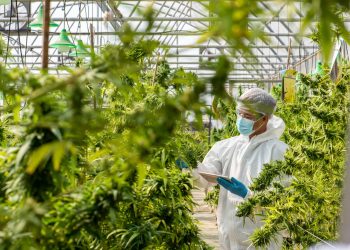 DEMECAN lanciert preisgünstiges Cannabismedikament