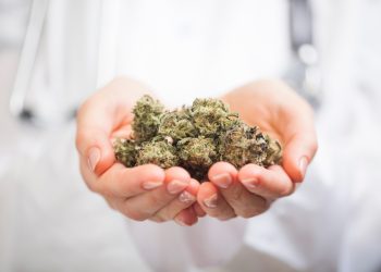 Grüne Brise – erweiterte Funktionen nach umfassendem Relaunch