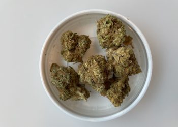 Medizinalcannabis Strain Review – Grow 18 HF Mac Hellfire