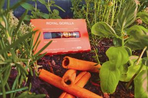 Mit CBD-Vape-Pens zum Cannabis-Sommelier?