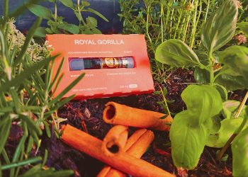 Mit CBD-Vape-Pens zum Cannabis-Sommelier?