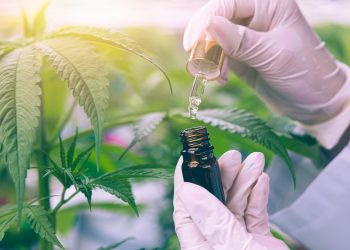 Neu entdeckte Cannabinoidrezeptoren