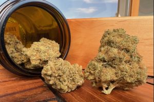 Medikal Cannabis Strain İncelemesi: mediproCan Smaragd 22/1 - La S.A.G.E. T22