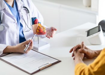 CBD hilfreich bei Herzkrankheiten durch Adipositas?