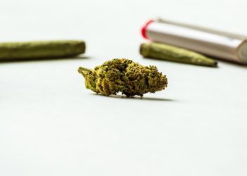 Nach Cannabiskonsum häufiger Metalle im Körper