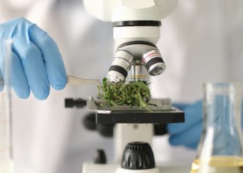 Wie Cannabinoide Stress regulieren