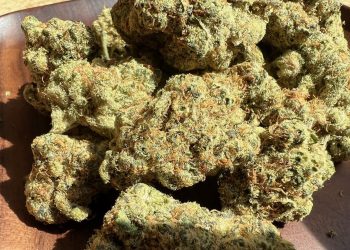 Medizinalcannabis Strain Review: avaay Signature 28/1 WB – Waffle Bites