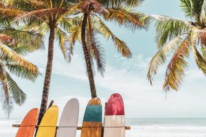 Hawaii'deki Bira ve DDR'deki Kannabis: Tarihsel Perspektifler