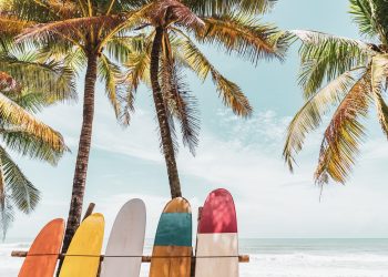 Bier auf Hawaii und Cannabis in der DDR