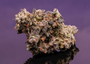 Das Potenzial von Cannabidiol