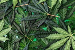 Gesundheit von Anfang an