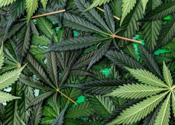 Gesundheit von Anfang an