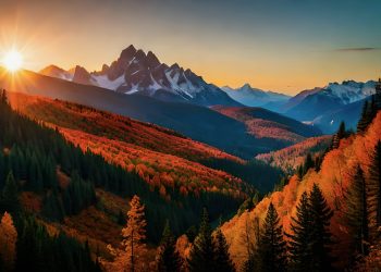 Kanada: Lehren der Legalisierung von Cannabis zu Genusszwecken