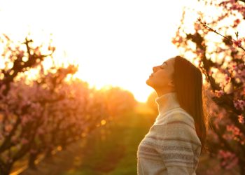 USA: Neue Perspektiven für das Gesundheitswesen?