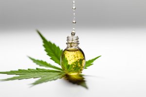 Cannabis ve Cannabinoidler: Böbrek ve Mesane Hastalıklarında Terapötik Potansiyel
