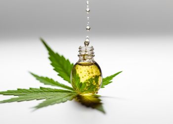 Cannabis bei Nieren- und Blasenerkrankungen