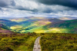 Irlanda: Descriminalização de Drogas Sim, Legalização de Cannabis Não